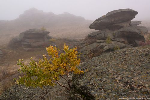 Колыванская осень