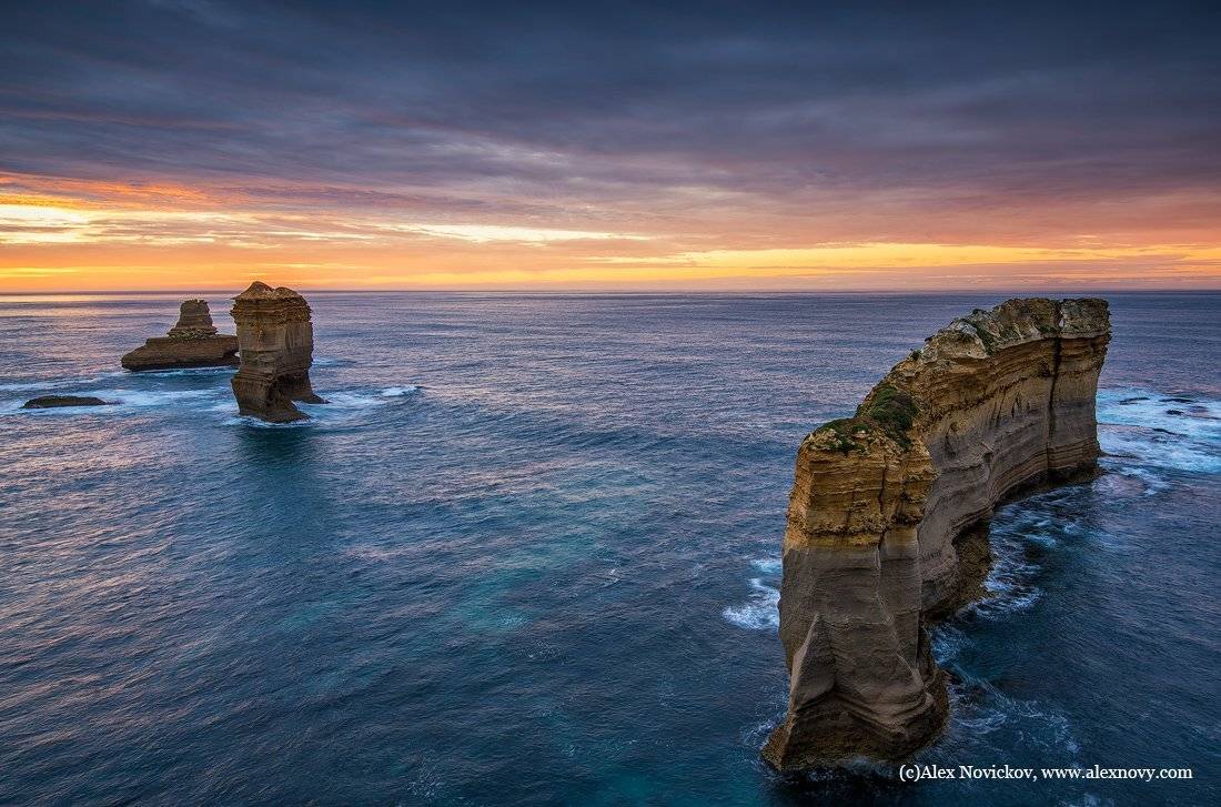 australia, Alex Novikov