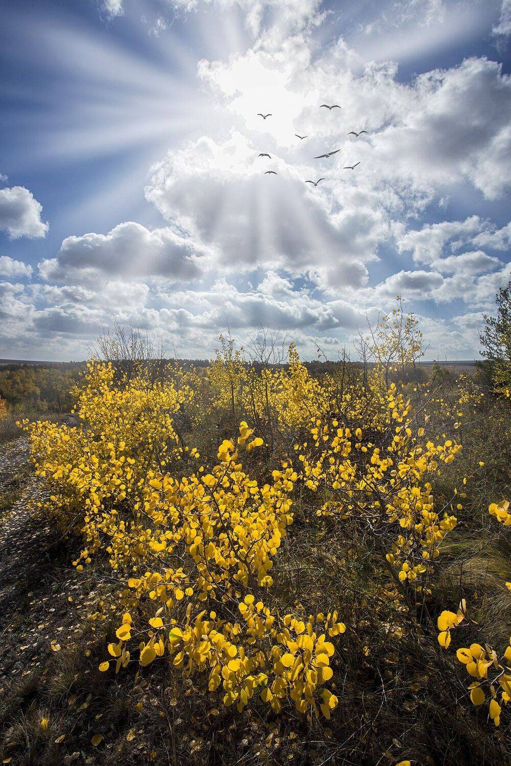 орск, качурин, осень урал, Качурин Алексей