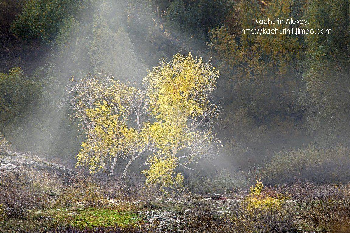 орск, качурин, осень урал, Качурин Алексей