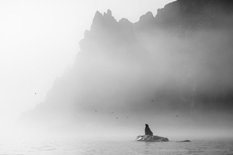 Мечтатель фото превью