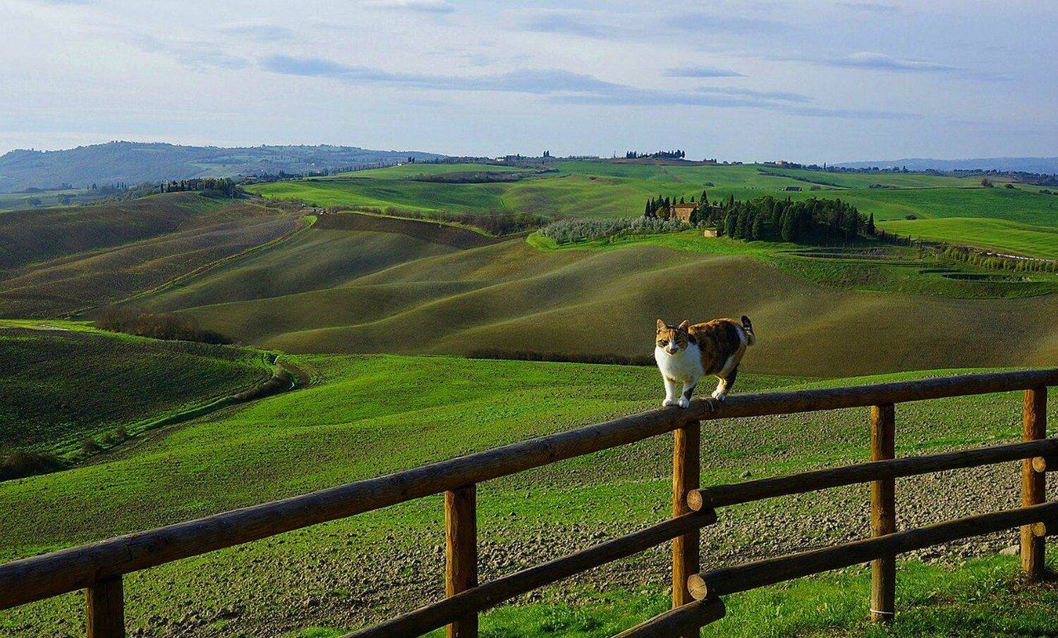 тоскана, италия, Петр Косых