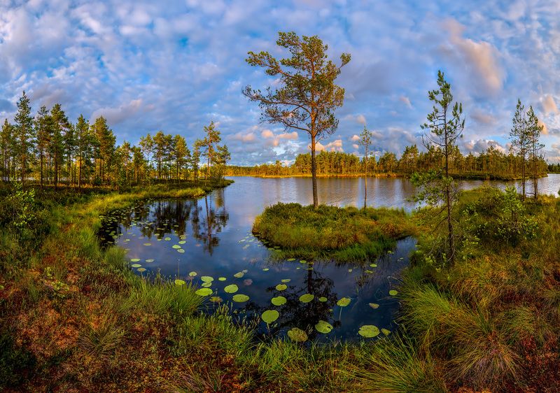 На островке, или северное лето. фото превью