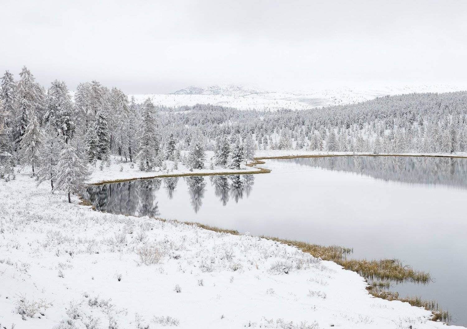 , Лещёнок Александр