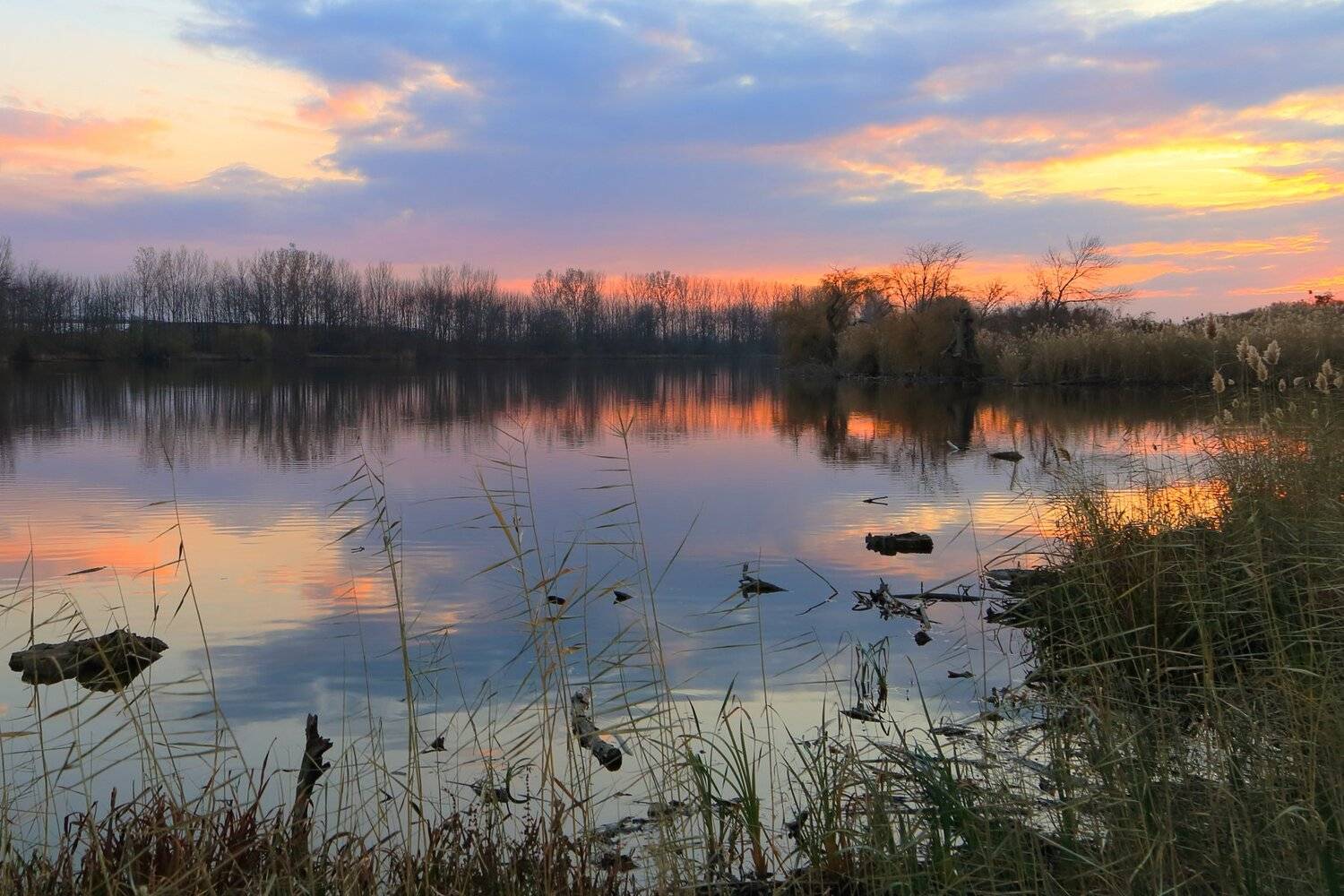 , Алексей Рыльский