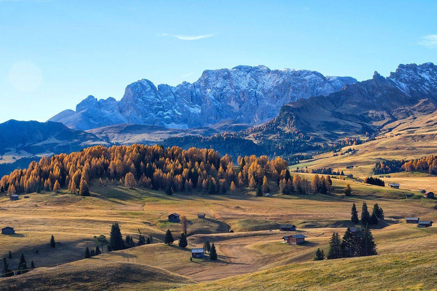 , Игорь Дубровский