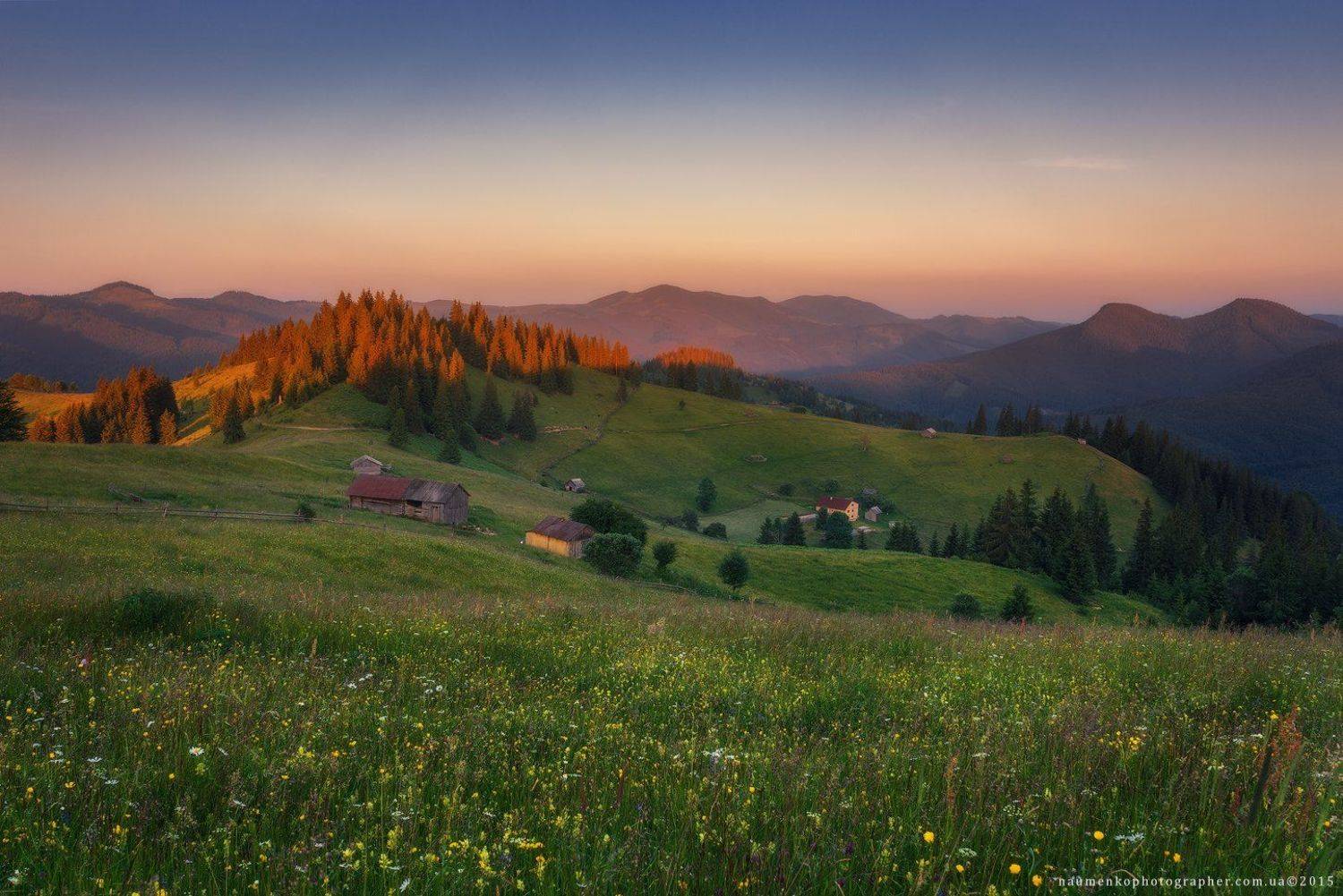 пейзаж, горы, природа, лес, небо, путешествия, красивый, лето, зеленый, украина, трава, дерево, фон, парк, естественный, луг, гора, сезон, красота, цвет, солнце, свет, свежий, карпатский, идиллический, карпаты, карпатские, синий, туризм, вид, холм, время,, Александр Науменко