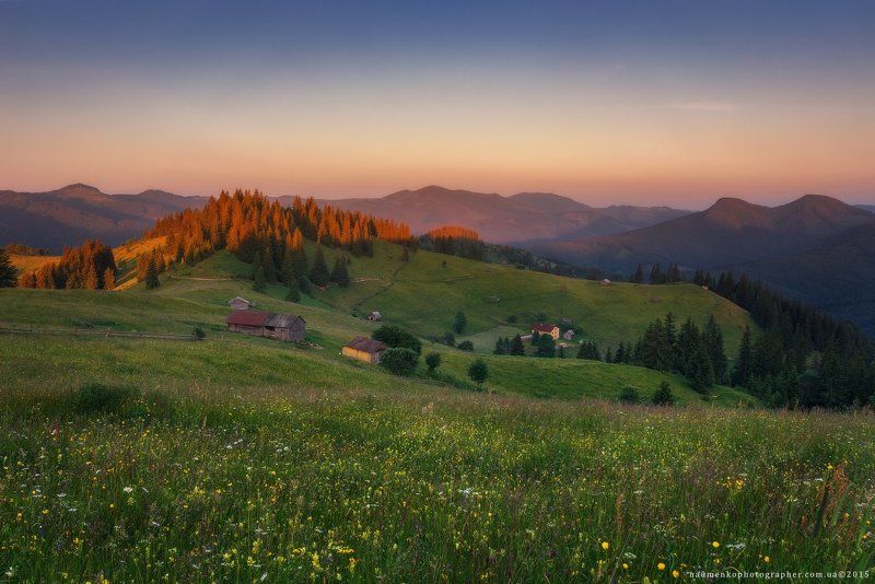 пейзаж, горы, природа, лес, небо, путешествия, красивый, лето, зеленый, украина, трава, дерево, фон, парк, естественный, луг, гора, сезон, красота, цвет, солнце, свет, свежий, карпатский, идиллический, карпаты, карпатские, синий, туризм, вид, холм, время, Карпаты. Дземброня. Вечер у полонины Степанский фото превью