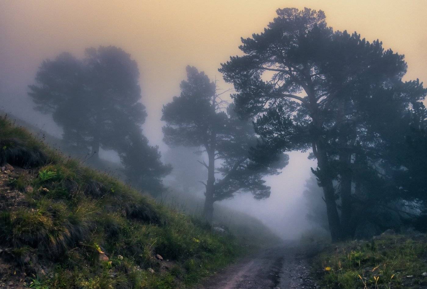 , Игорь Мелекесцев