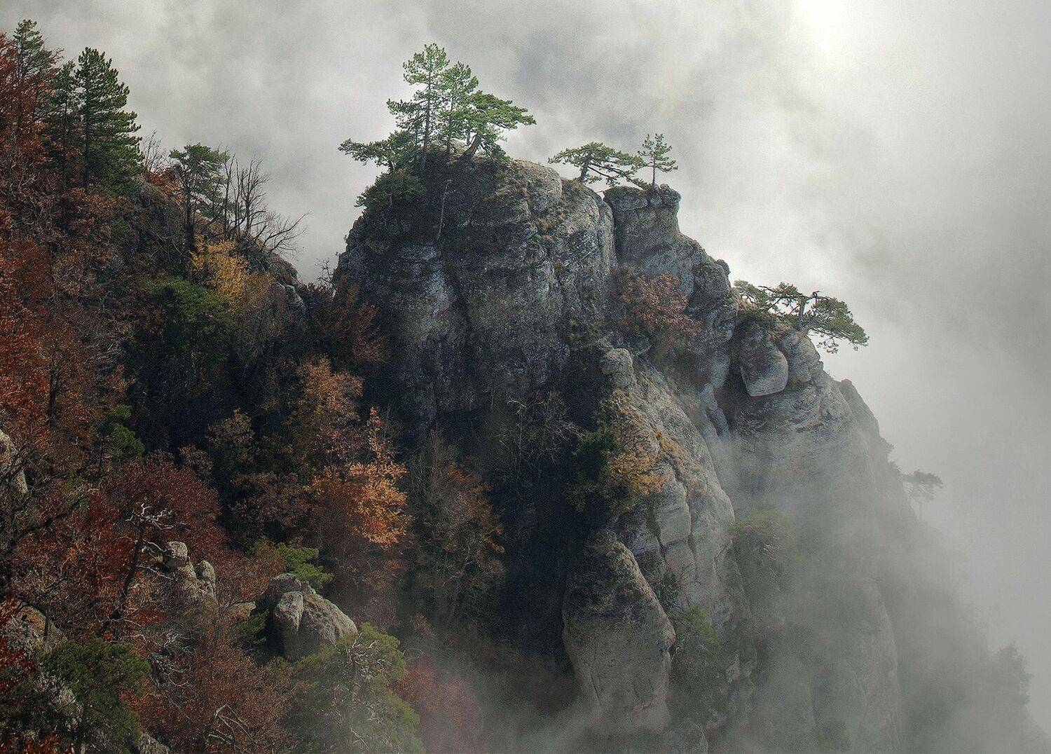 , Милокост Алексей