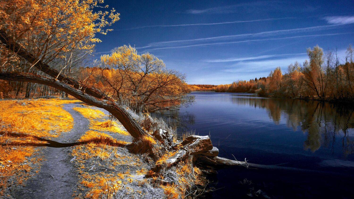 infrared,ик-фото,инфракрасное фото,инфракрасная фотография,пейзаж,природа,беларусь,весна, Sixten ( Сергей )