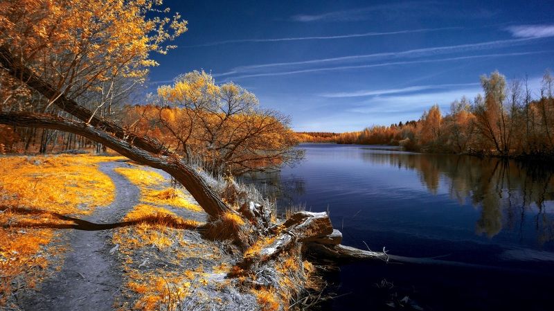 Так начиналась весна. Инфракрасная фотография. фото превью