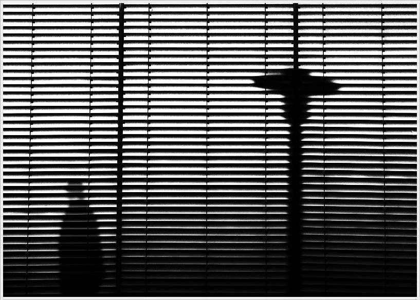 , Krzysztof Trojanowski