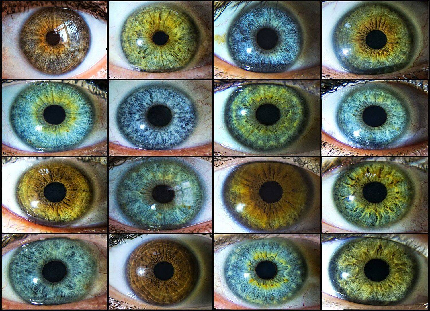 макро, Павел Сагайдак