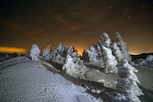 Устремлённые к небу.