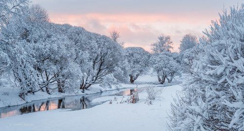 Январские темы...