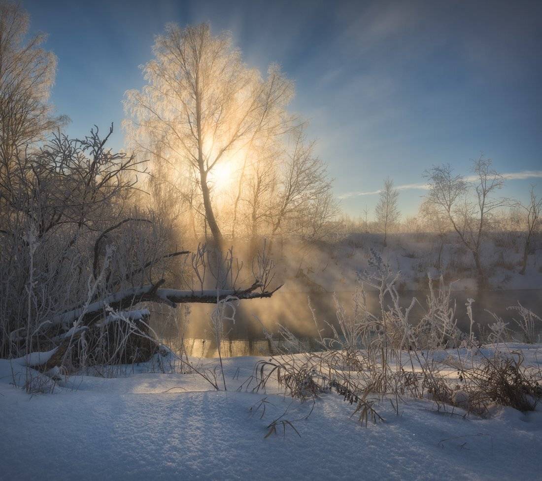 зима, пейзаж, рассвет, иней, туман, солнце, пейзажное фото, фототуры выходного дня, истра, снег, Жмак Евгений
