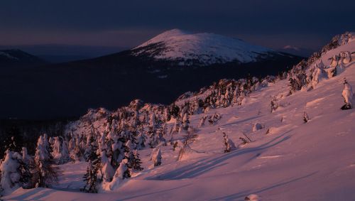 Предрассветная Круглица