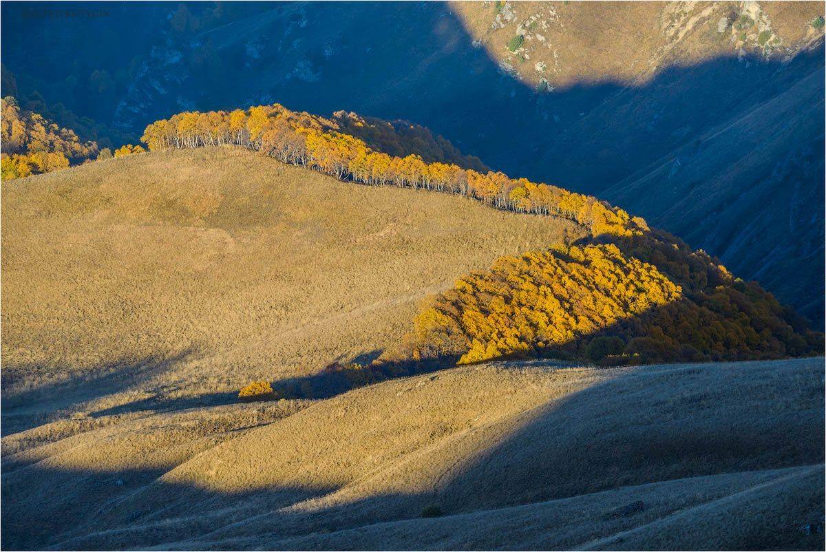 , Кутыгин Эдуард