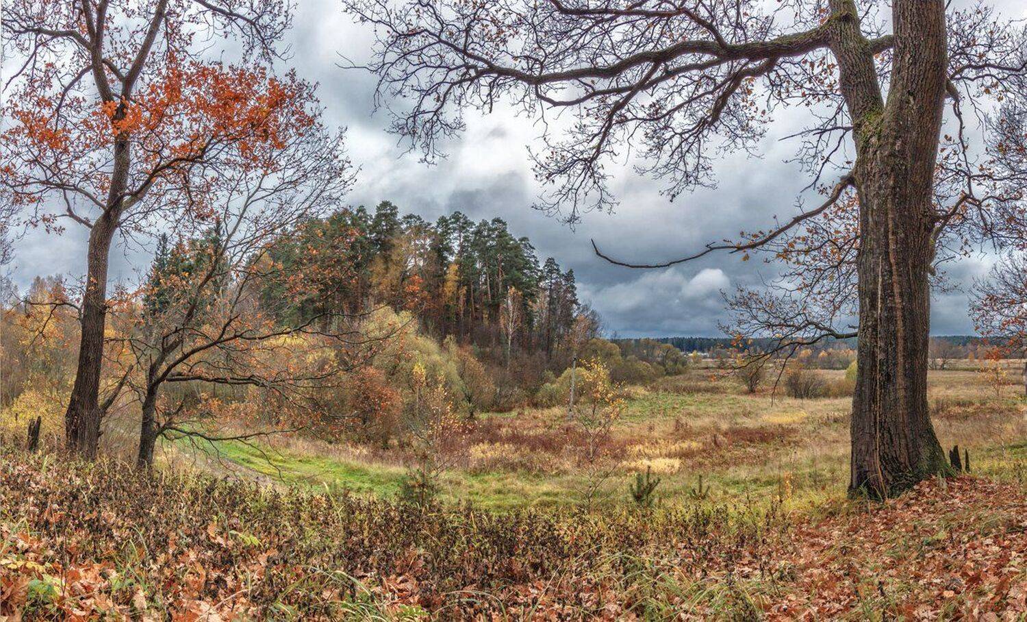 , Николай Андреев