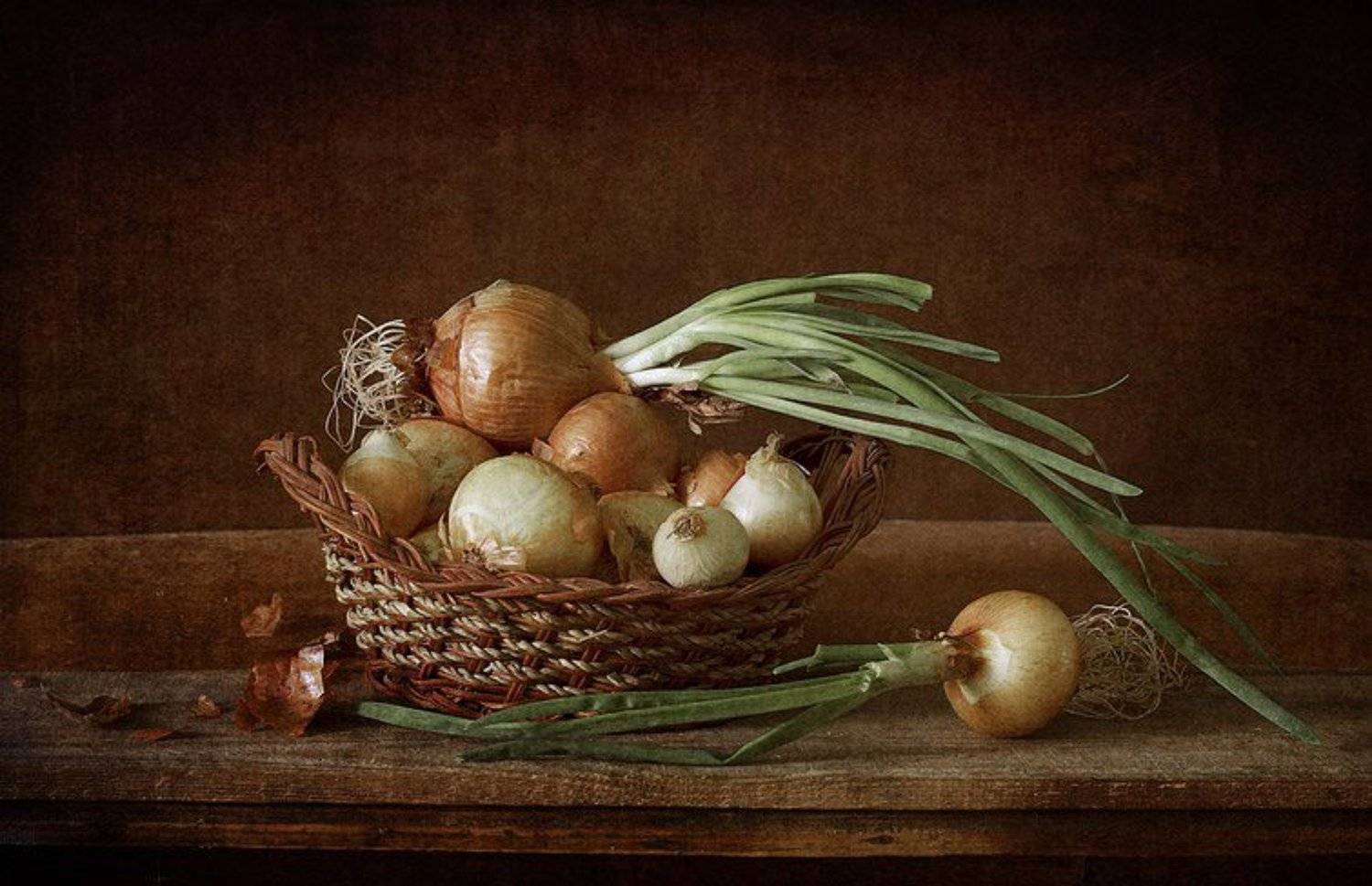 , Синегубова Ольга