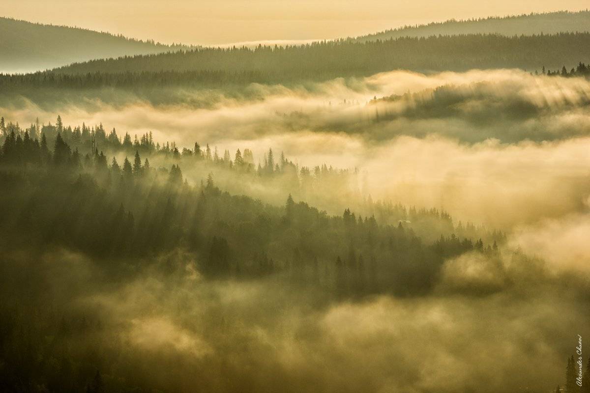 утро, туман, свет, урал, лес, тайга, пейзаж, Александр Чазов