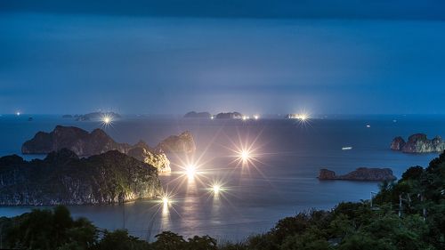 Охота на креветок .