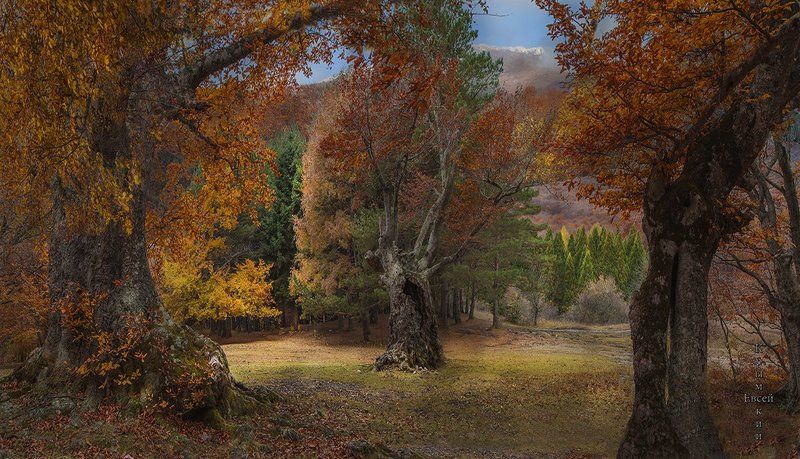 Осень у подножия г.Чатыр-Даг. фото превью
