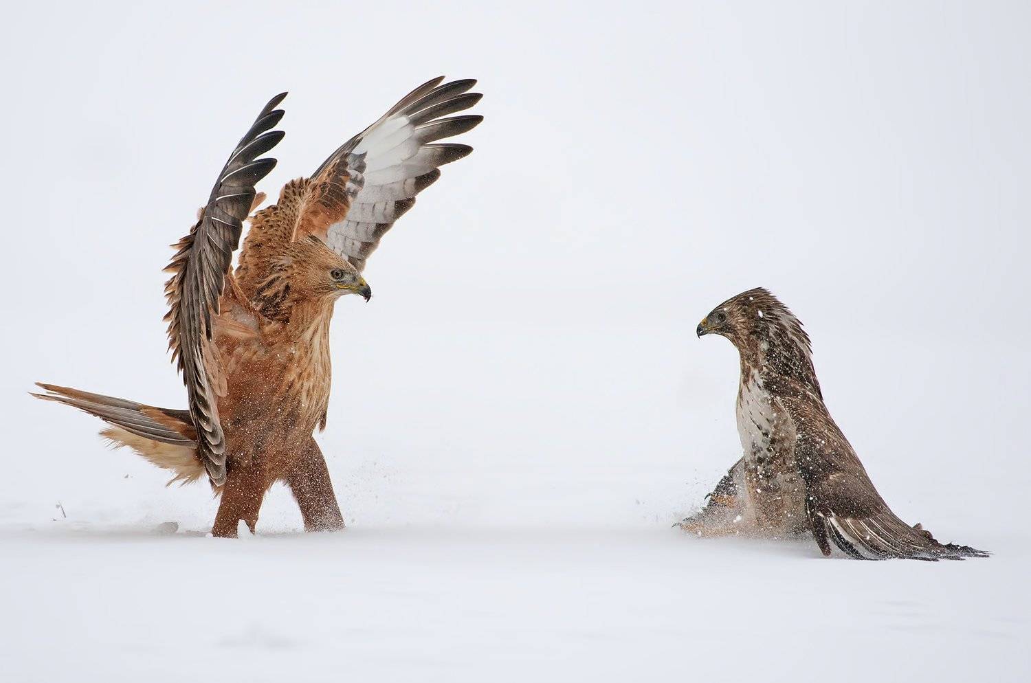 , Сергей Златков