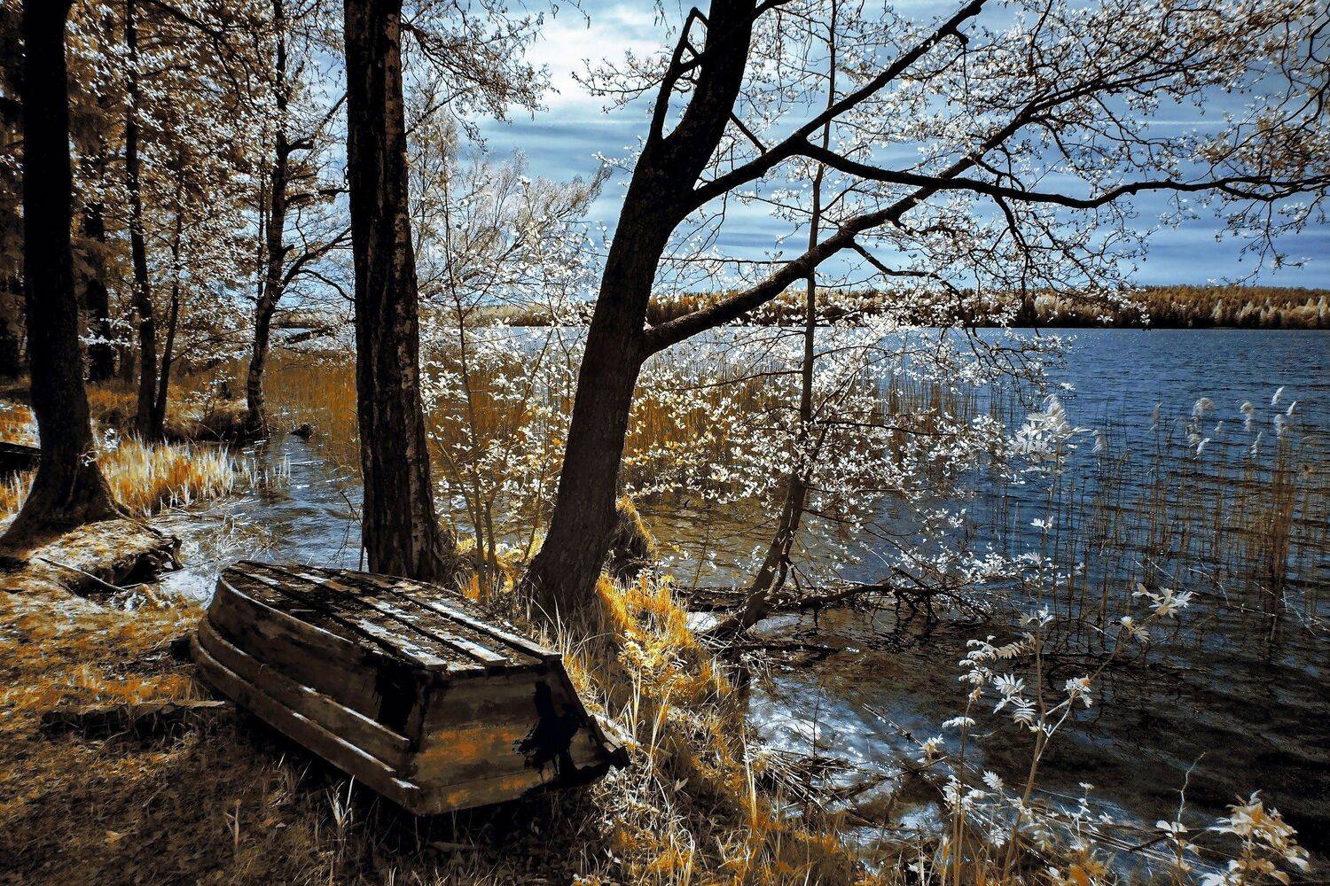 infrared,ик-фото,инфракрасное фото,инфракрасная фотография,пейзаж,природа,беларусь,весна, Sixten ( Сергей )