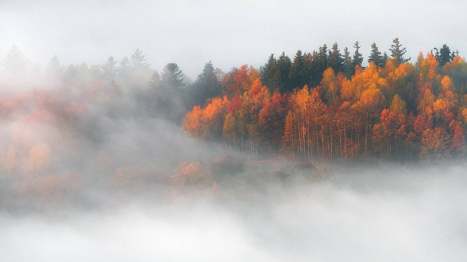 landscape,canon,mist,light,autumn, Iza,Darek