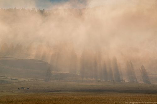 В стране туманов