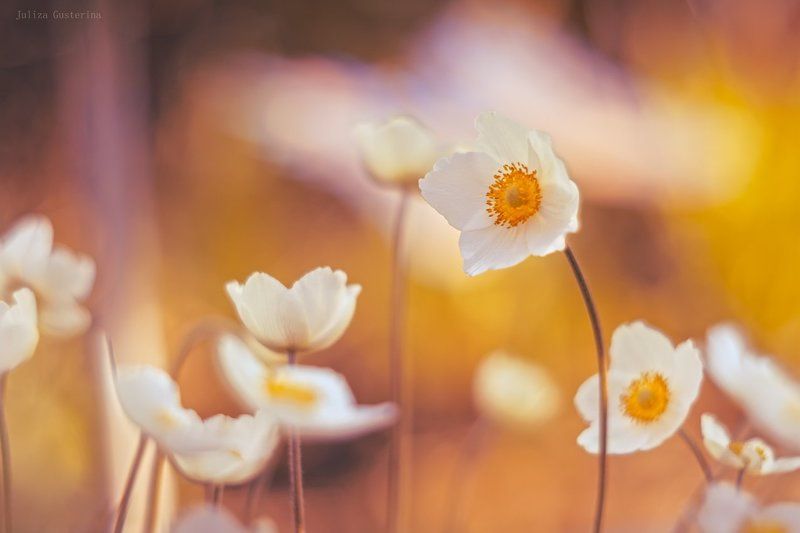 лето продолжается фото превью