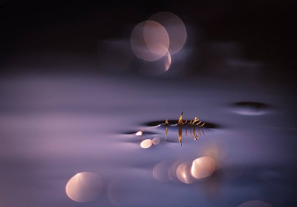 , Вячеслав Мищенко