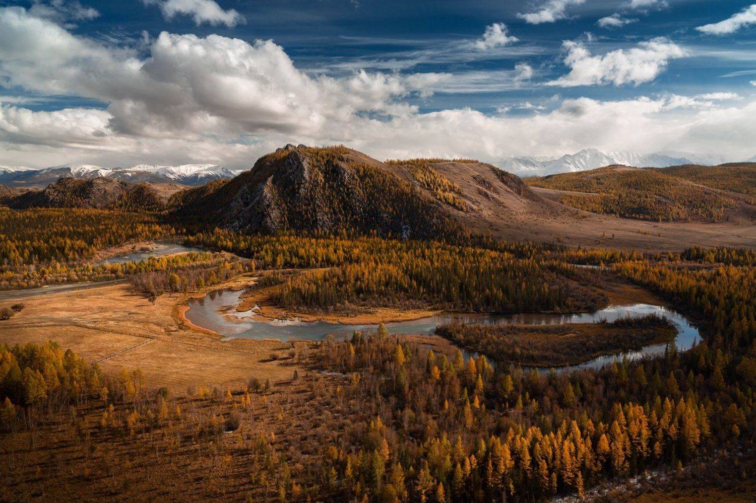 , Бруно Томский