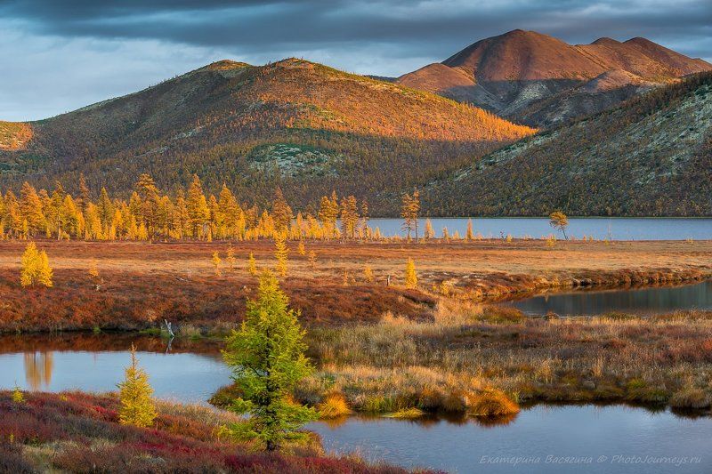Мотивы северной осени фото превью