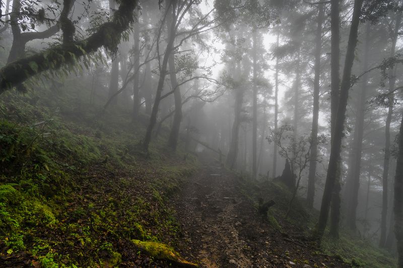 Misty Langtang фото превью