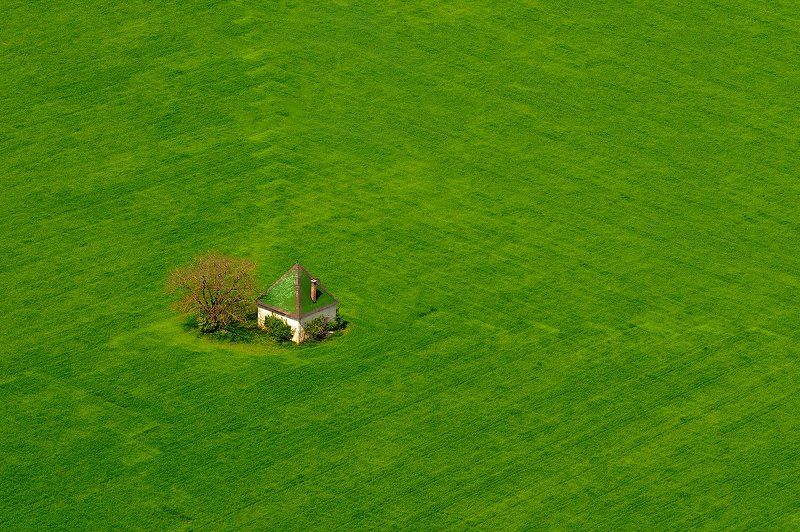 Green фото превью