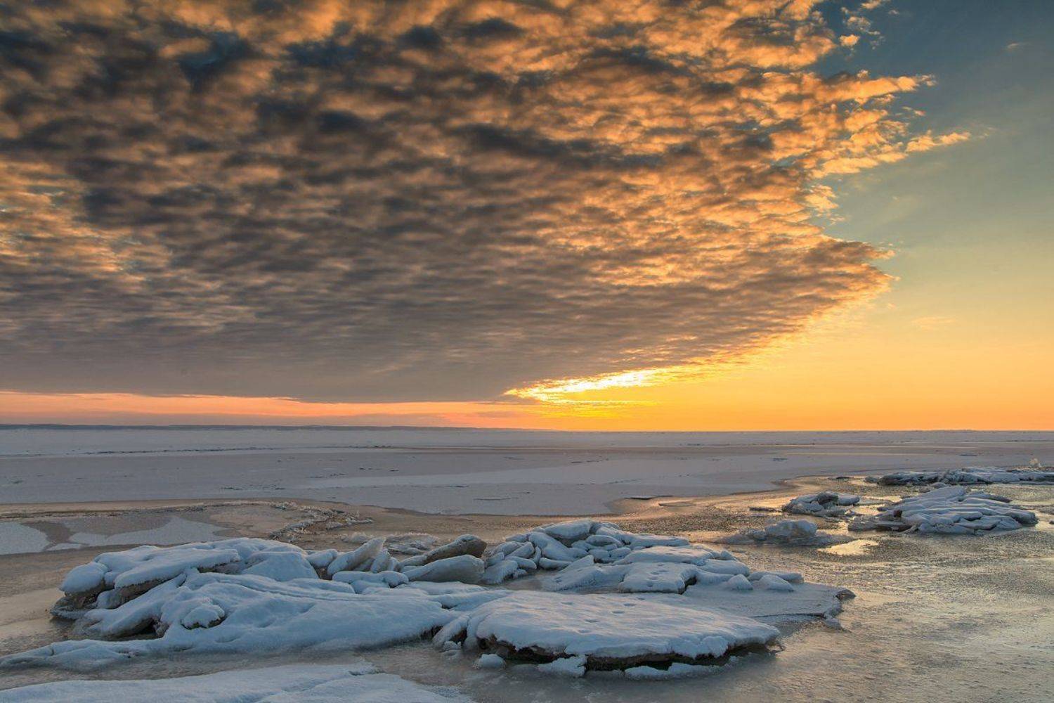 , Александр Войтенко