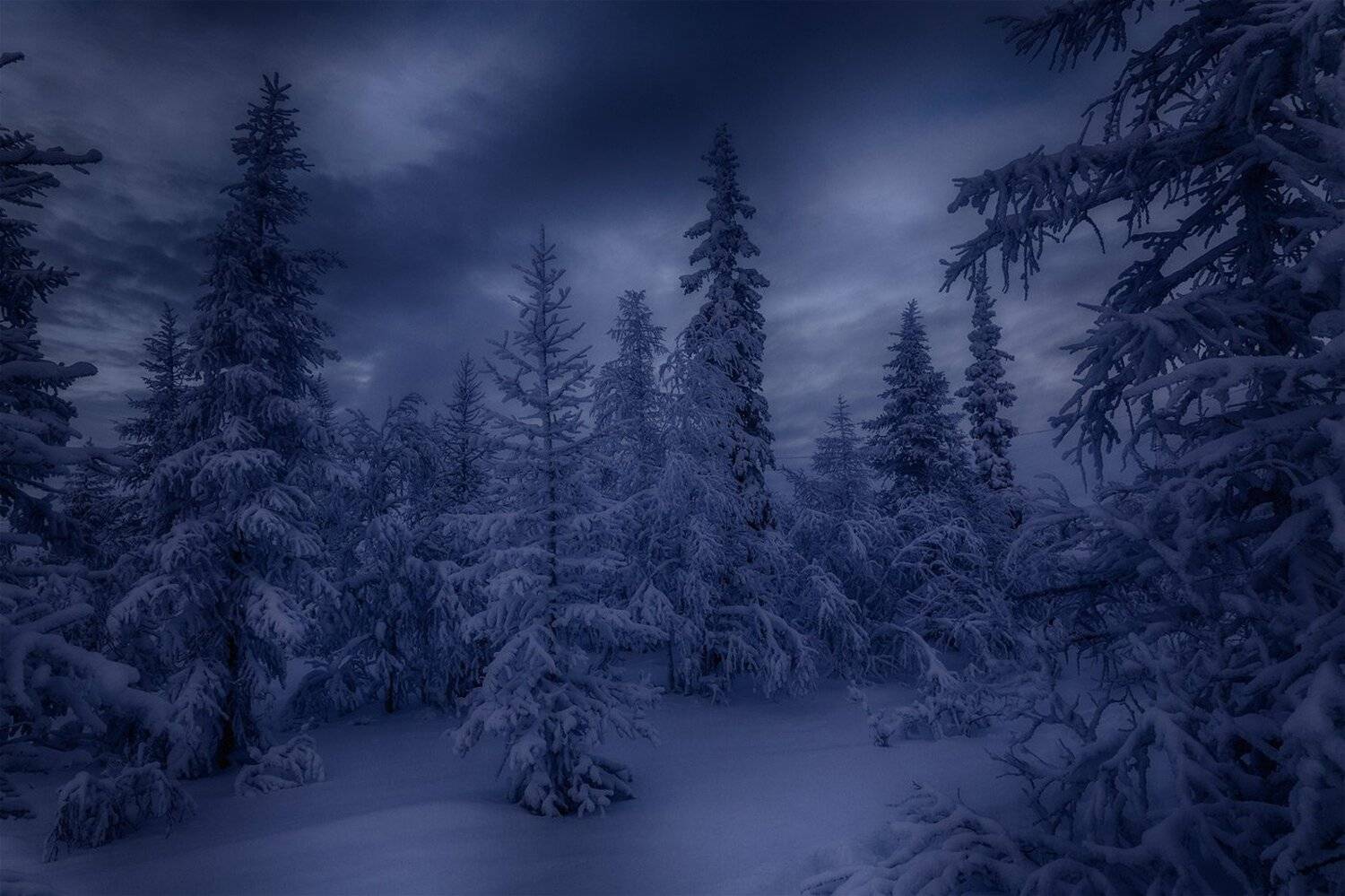 , Евгений Кужилев