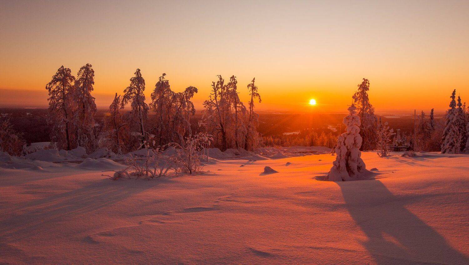 белогорье, Владимир Липецких