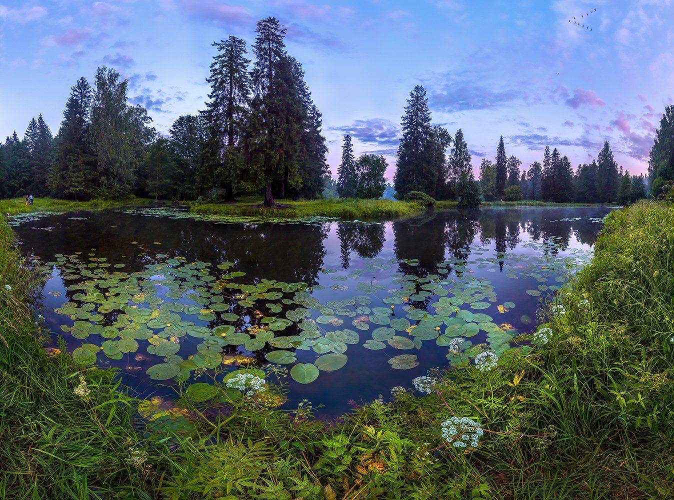 , Лашков Фёдор