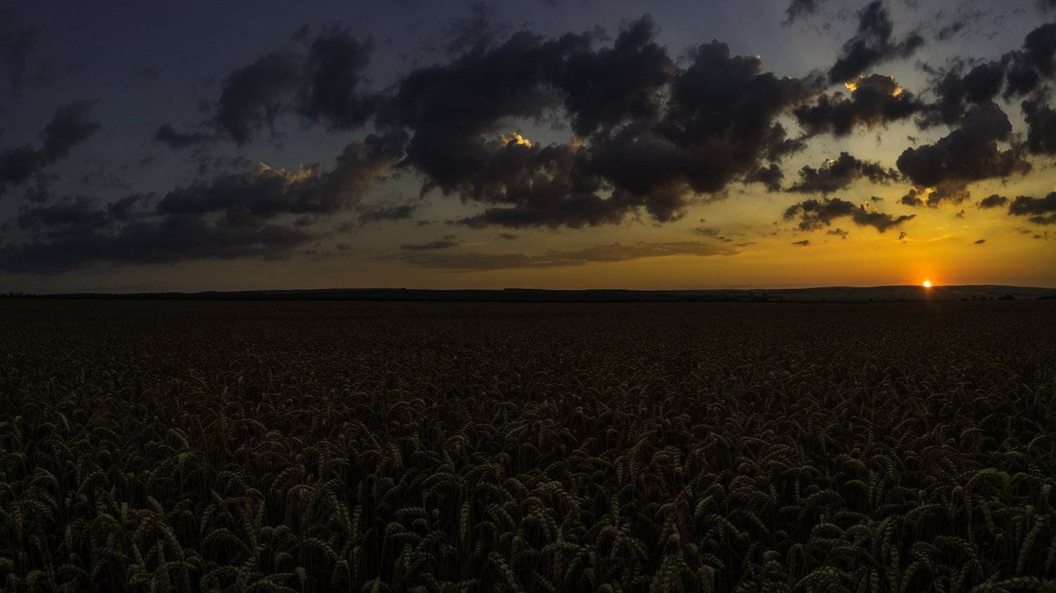 ceclii, lgg4, Tsvetan Ganev