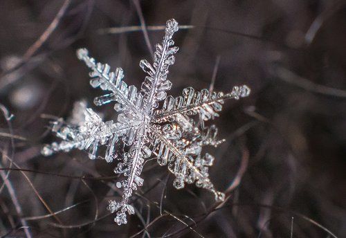 Труды природы