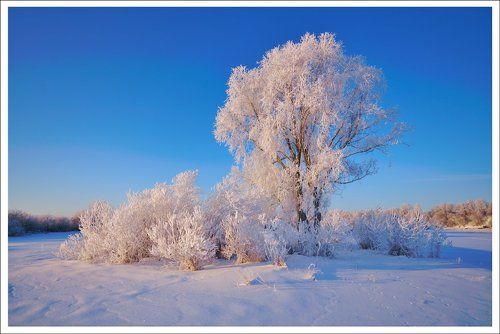 Утренний иней.