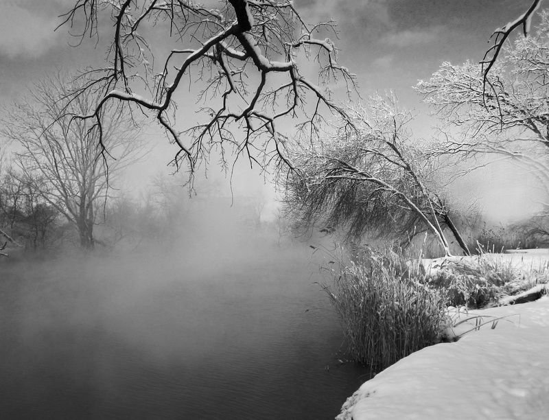 Ах, зима, ты моя, зима!.. фото превью