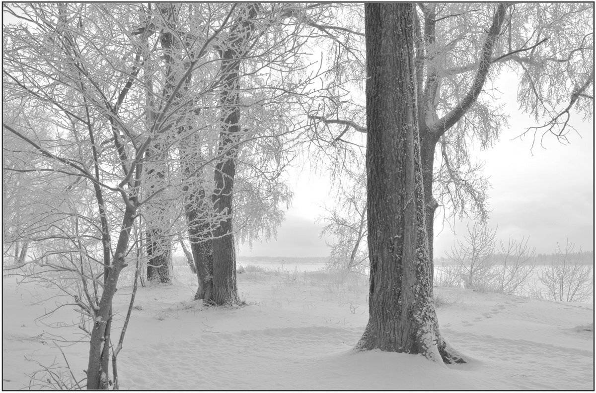 , Марина Никулина