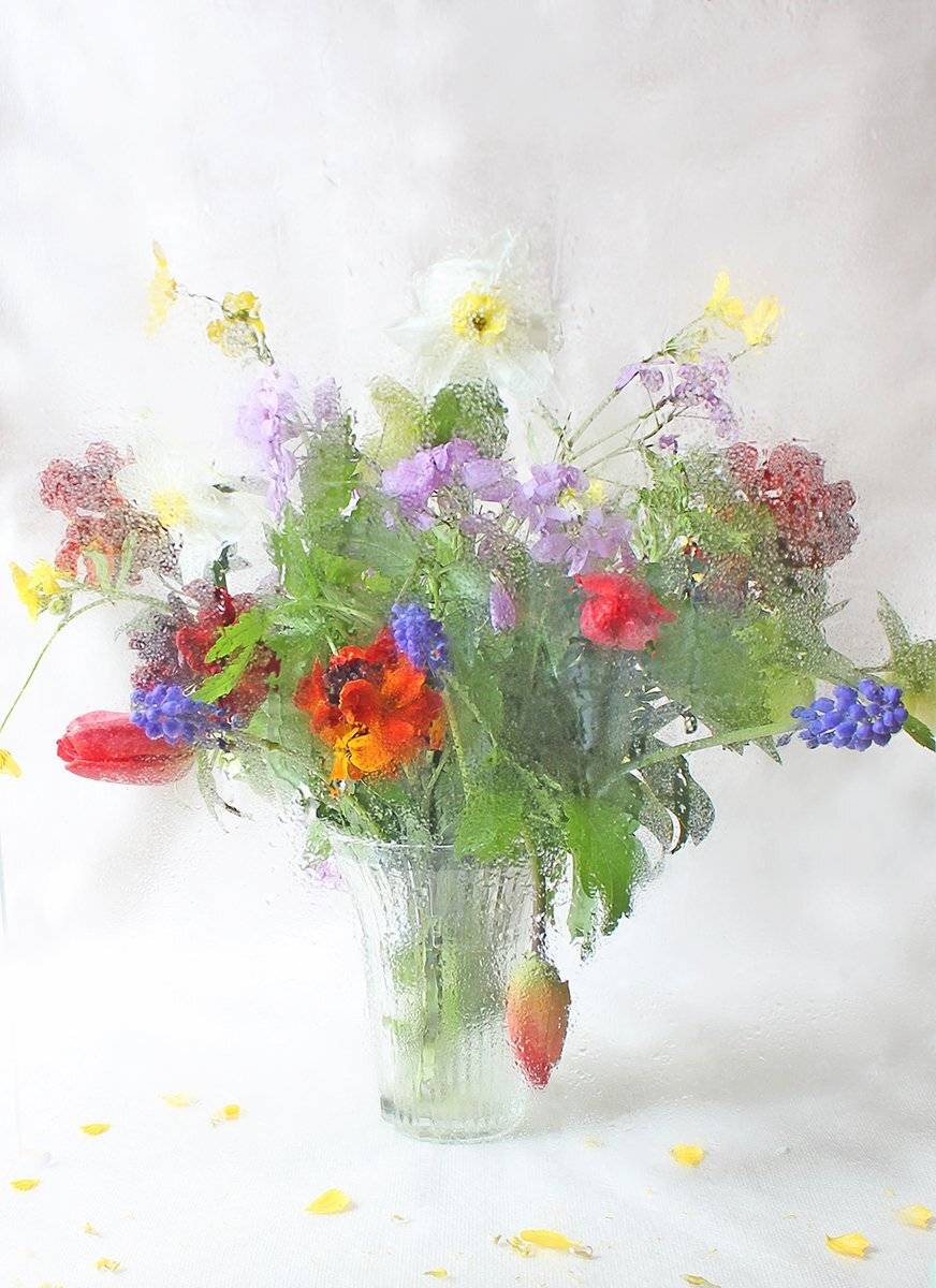 , Инна Сухова