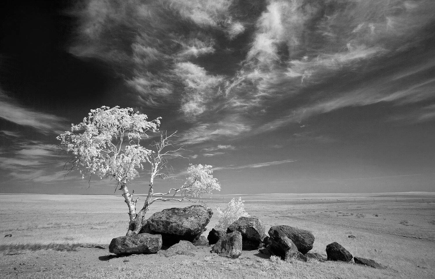 ir,infrared,landscape,tree,stoun,sky,небо,облака,камни,дерево,пейзаж,чёрно-белое,инфракрасный,фильтр,, Олег Грачёв
