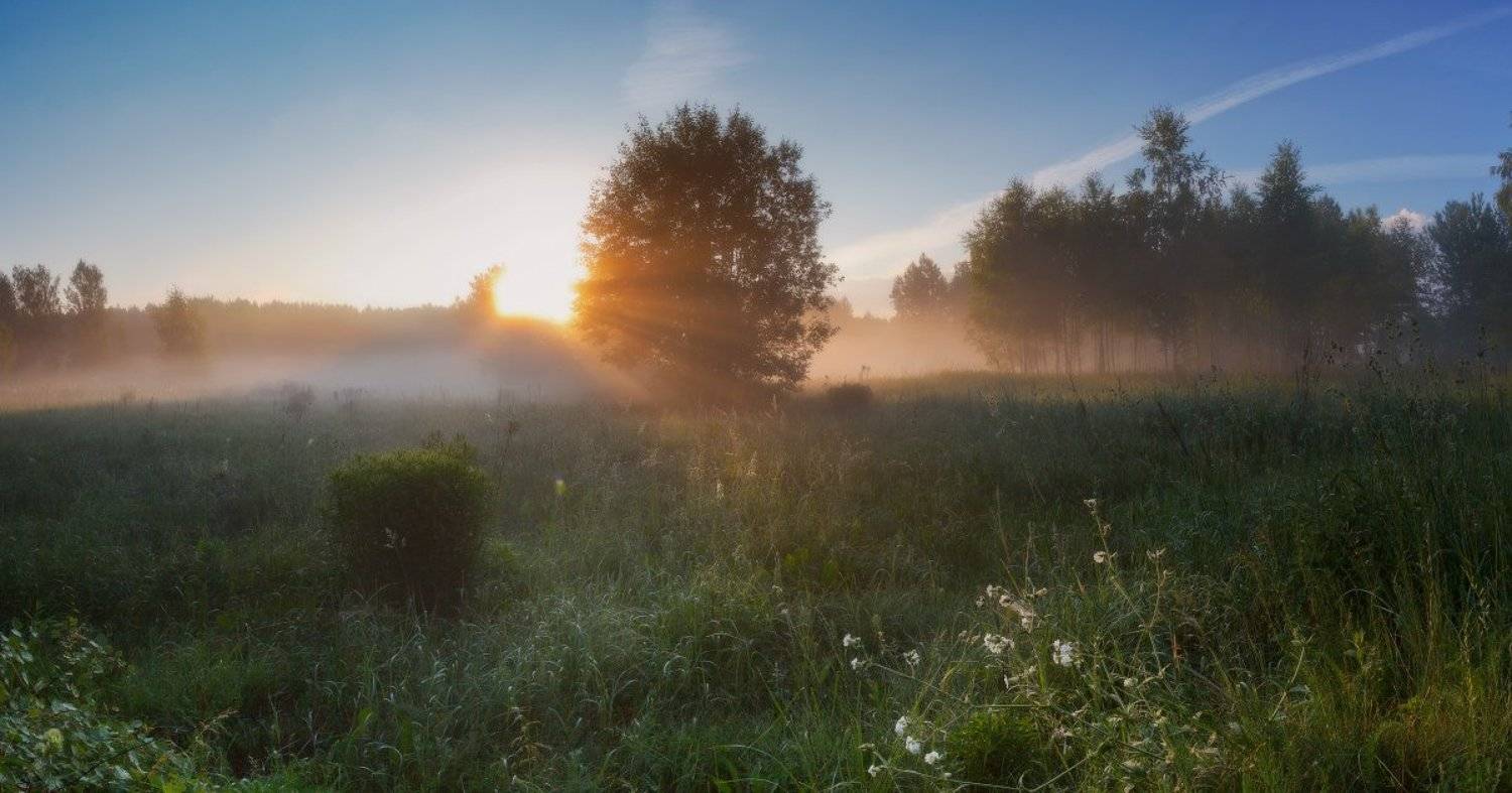 туман,рассвет,утро, Андрей Дитковский